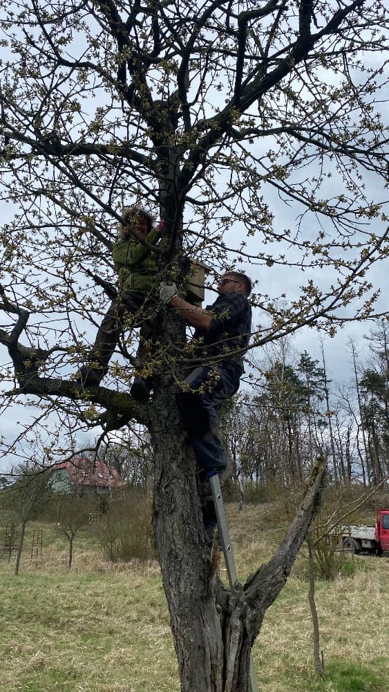 Muž a žena věší ptačí budku na strom