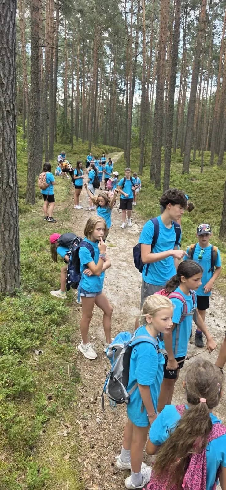 Děti v modrých tričkách procházejí lesem.