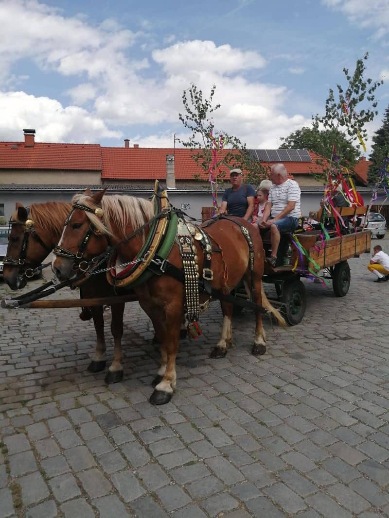 Dva koně táhnou vůz s lidmi a ozdobenými stromy