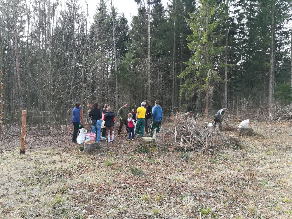 Skupina lidí s dětmi sází stromy v lese
