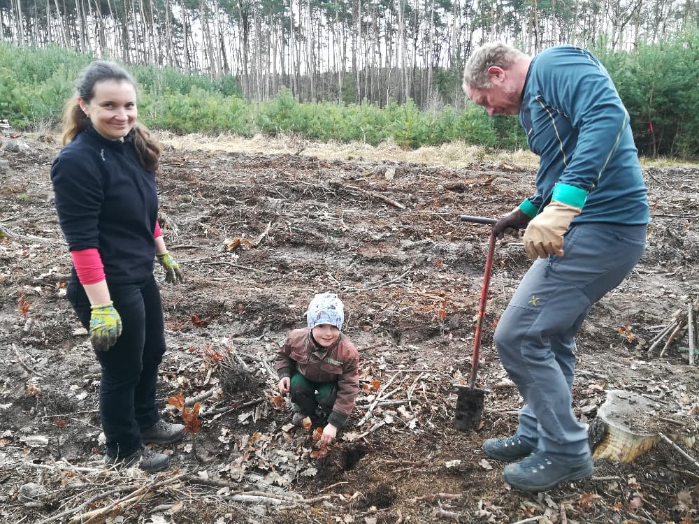 Žena, muž a dítě sázejí stromy v lese
