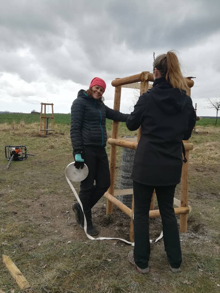 Dvě ženy sázejí stromky a staví dřevěné oplocení
