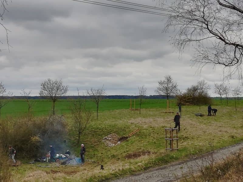 Skupina lidí sází stromy na louce pod zataženou oblohou