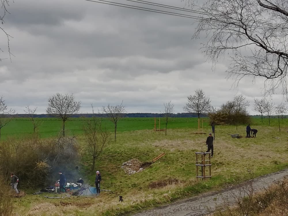 Skupina lidí sází stromy na louce pod zataženou oblohou