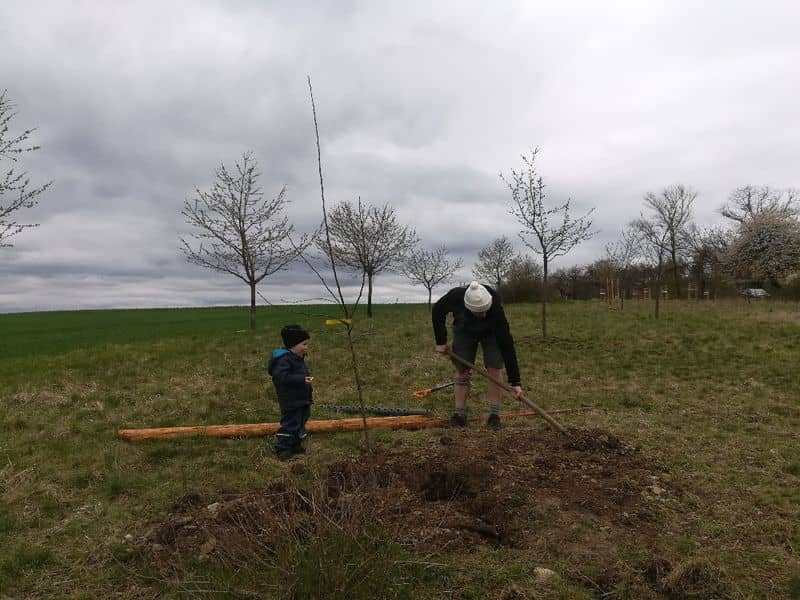 Muž s dítětem sází strom na louce