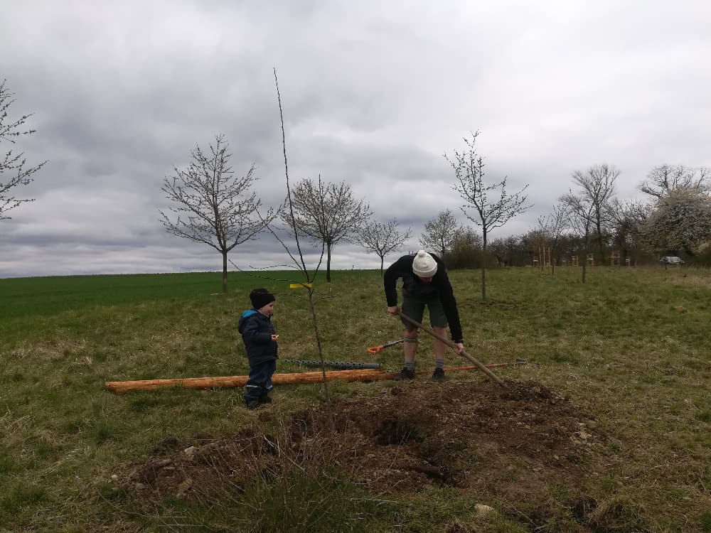Muž s dítětem sází strom na louce