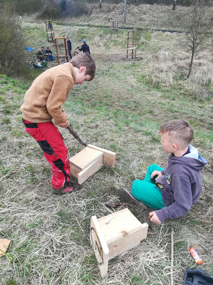Dva chlapci vyrábí ptačí budky na louce