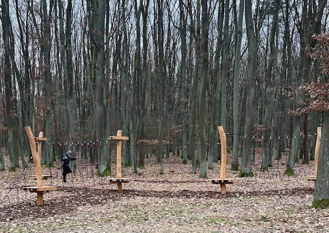 Dítě na lanové překážce v lese