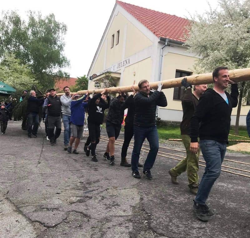 Skupina mužů nese májku před budovou Hostince U Jelena