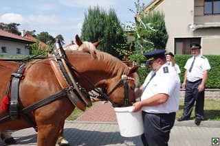 Muž v uniformě krmí koně z kbelíku, v pozadí další lidé