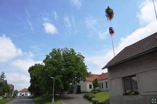 Vesnická ulice s domy, stromy a vysokou májkou