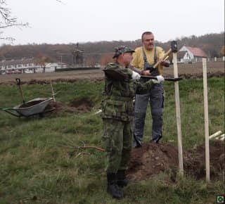 Dva muži sázejí strom, jeden drží kůl, druhý ho zatlouká