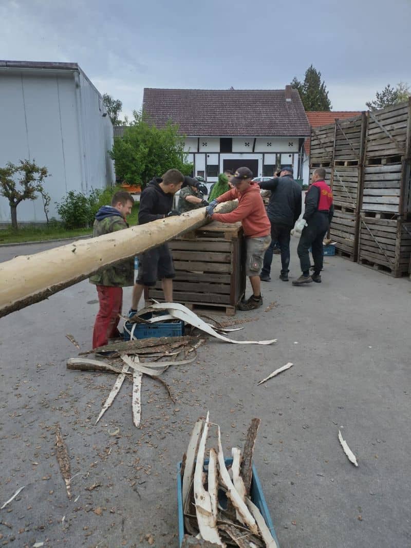 Skupina mužů loupající kůru z kmene stromu