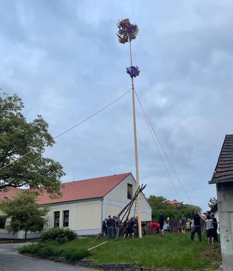 Skupina lidí vztyčuje májku s věncem a pentlemi
