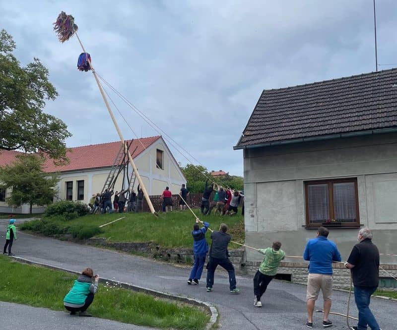 Skupina lidí vztyčuje májku