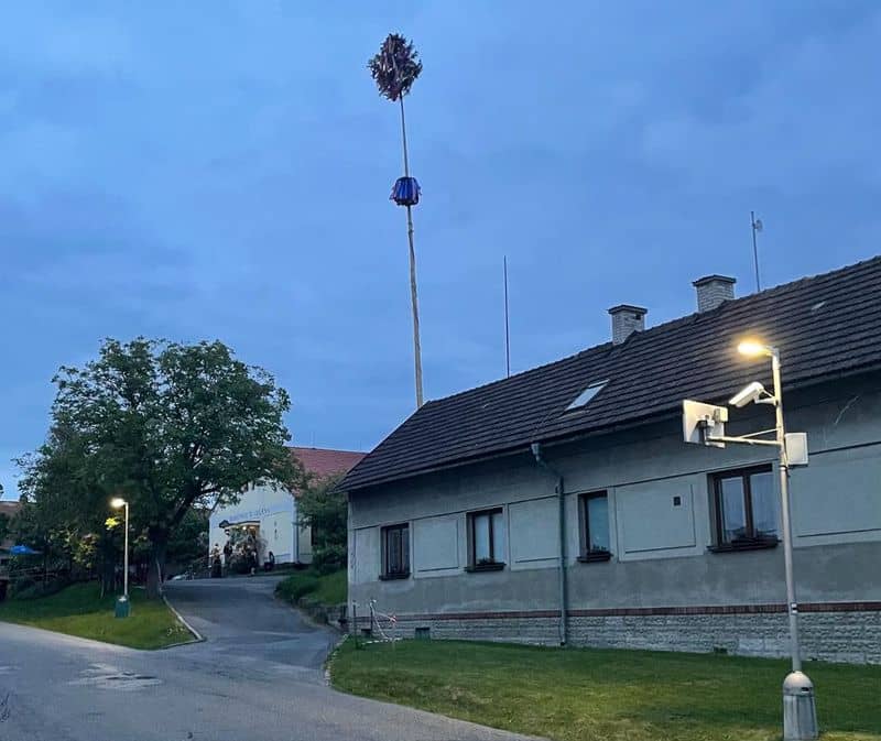 Vysoká májka s ozdobeným vrškem a modrou stuhou