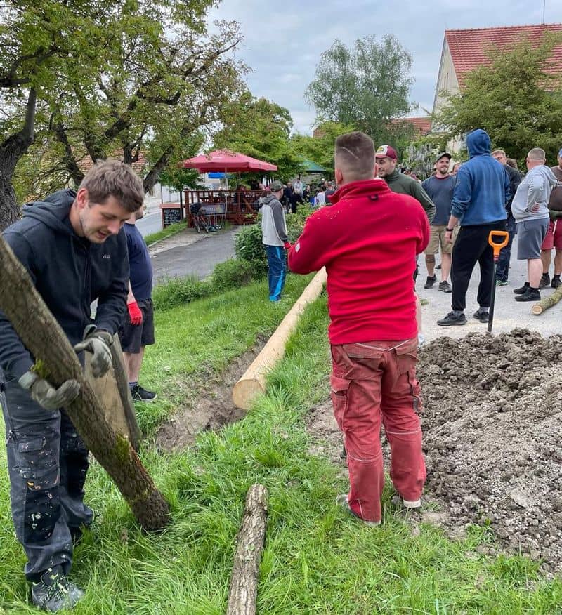Skupina mužů připravuje kmen stromu na travnatém svahu