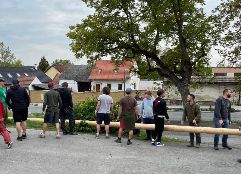 Skupina mužů připravuje májku