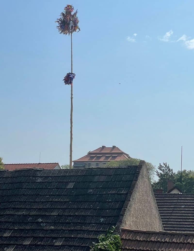 Vysoká májka s ozdobeným vrškem a věncem uprostřed, nad střechami domů