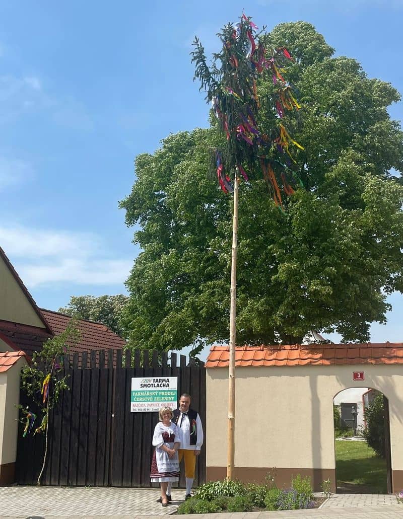 Pár v krojích stojí u májky před dřevěnou bránou